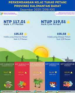 Nilai Tukar Petani (NTP) Desember 2020 Di Kalimantan Barat Sebesar 117,01 Poin